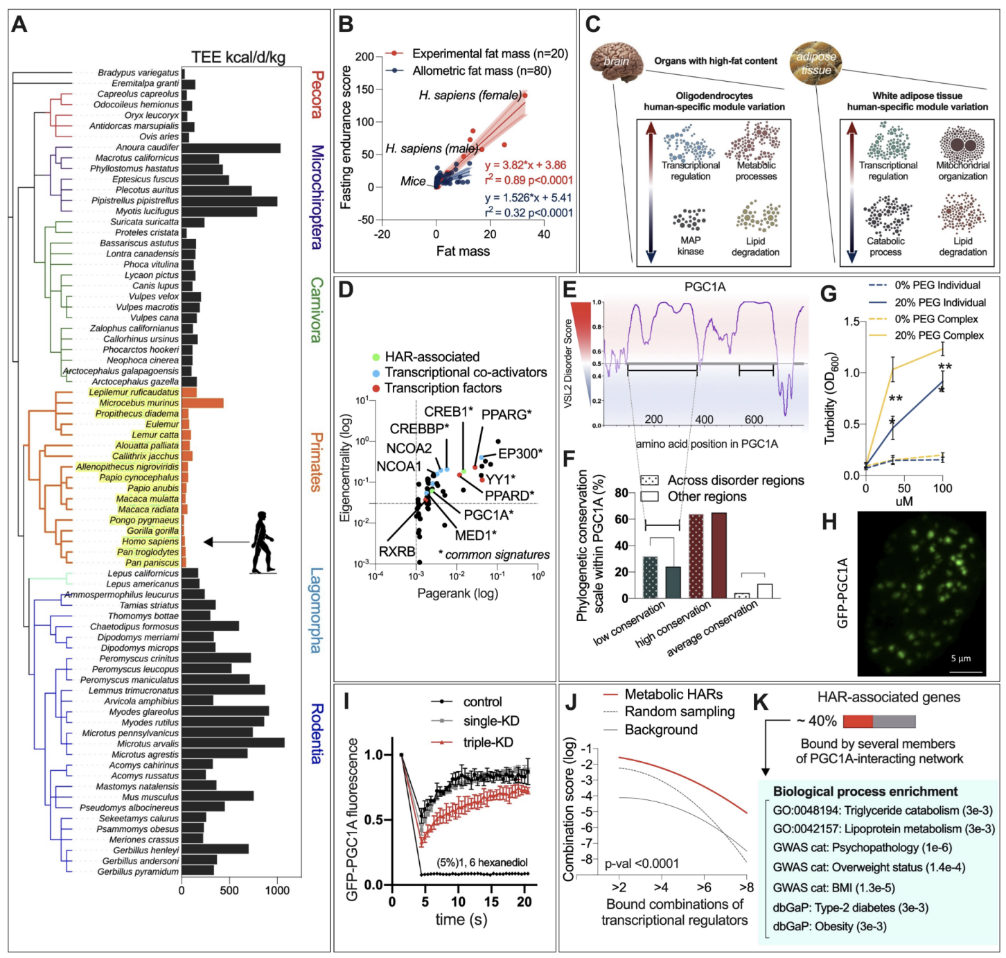 Agudelo_bioRxiv_21.png