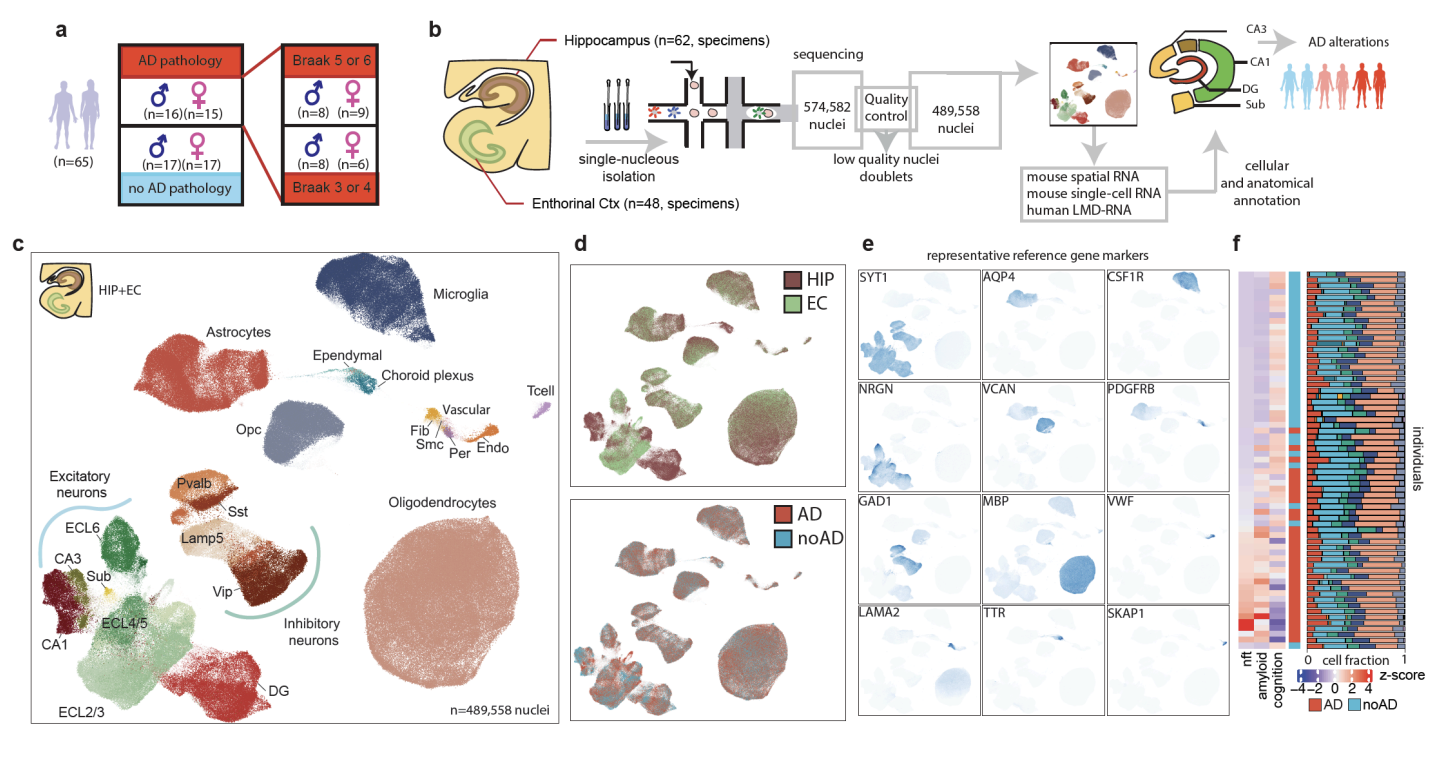 Davila_bioRxiv_21.png