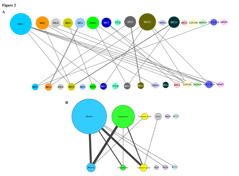 Kousi_bioRxiv_18.png