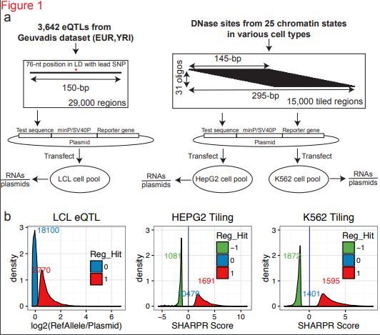 Li_Shi_bioRxiv_17.png