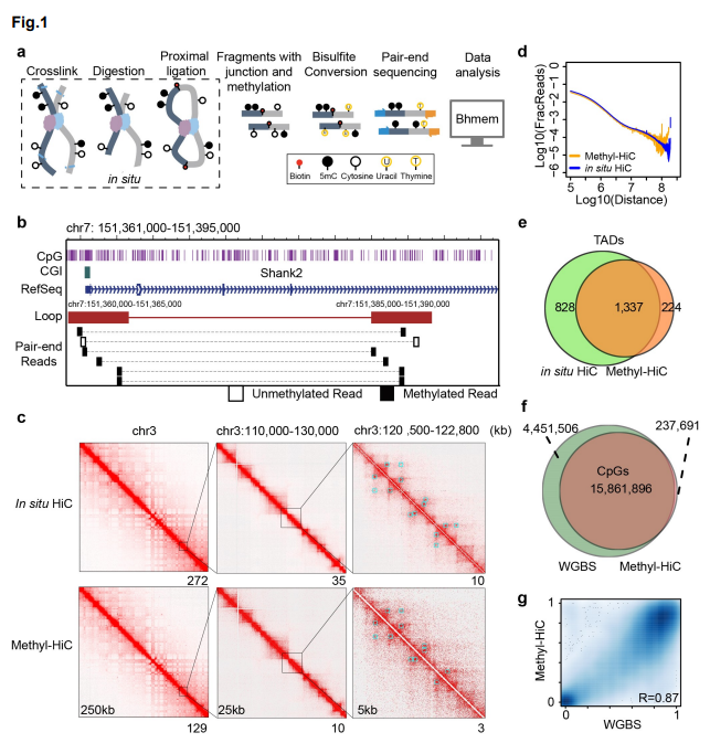 Li_bioRxiv_18.png