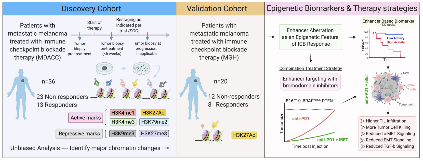 Maitituoheti_bioRxiv_22.png