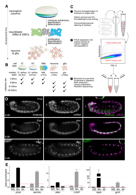 McCorkindale_bioRxiv_18.png