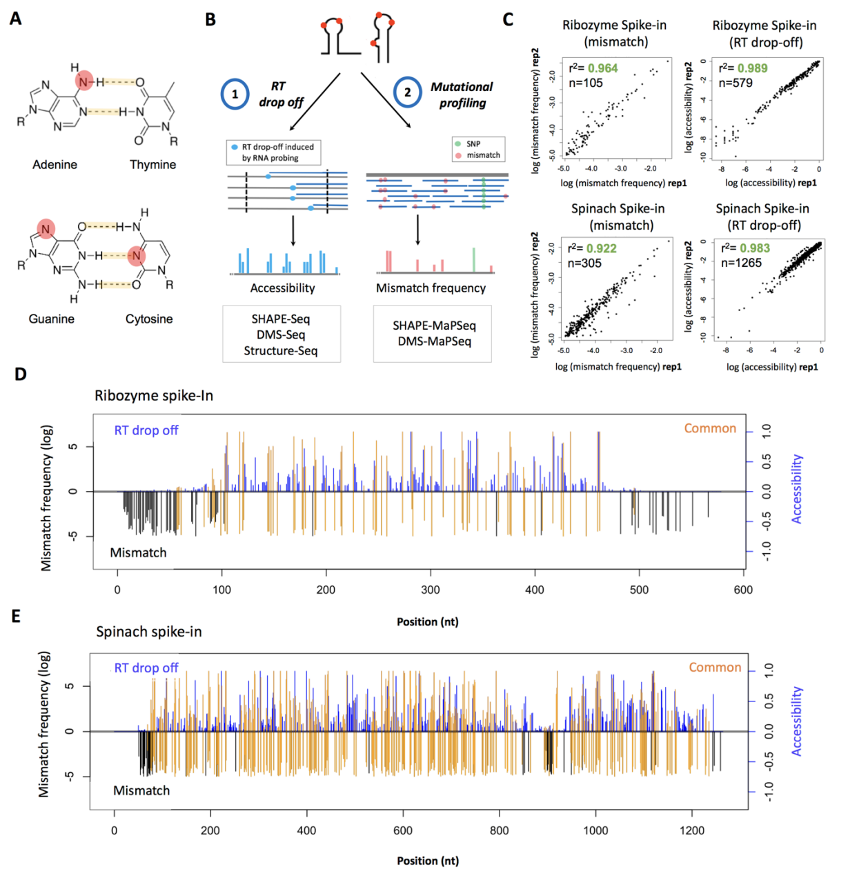 Novoa_bioRxiv_20.png