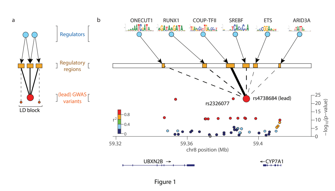 Quon_bioRxiv_18.png