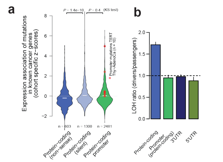 Rheinbay_bioRxiv_17.png