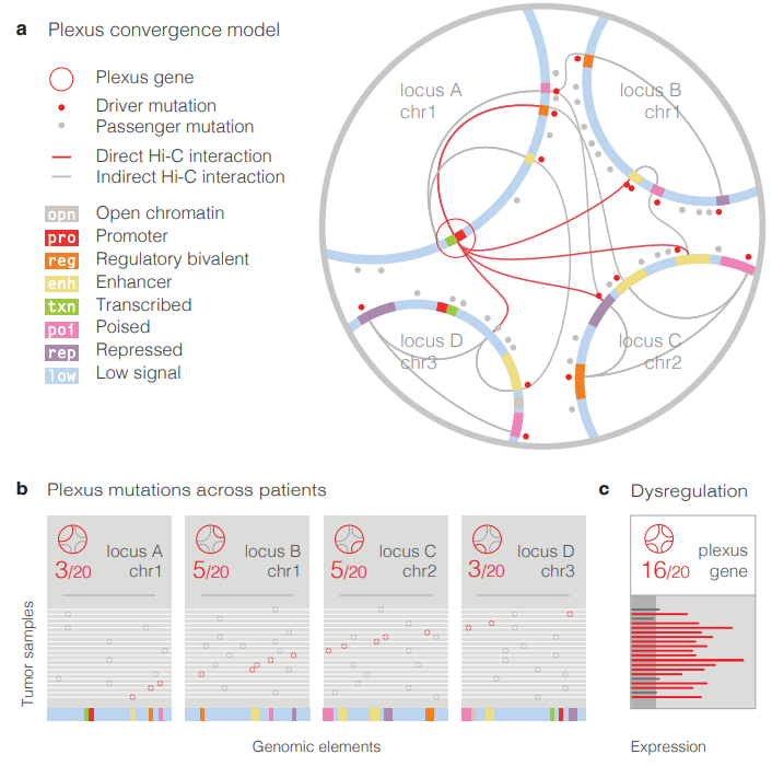 Sallari_bioRxiv_16.png