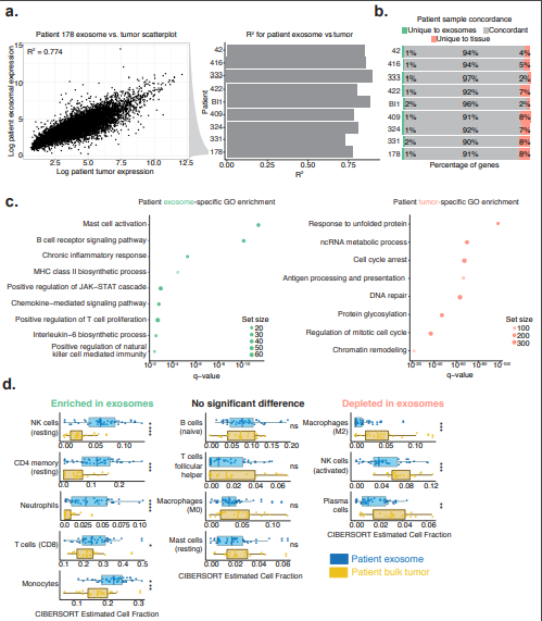 Shi_bioRxiv_19.png