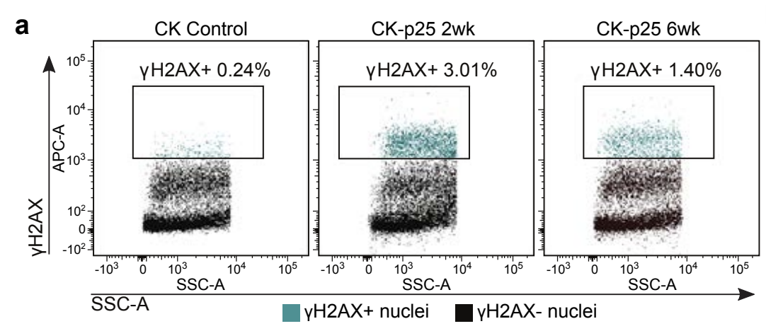 Welch_bioRxiv_21.png