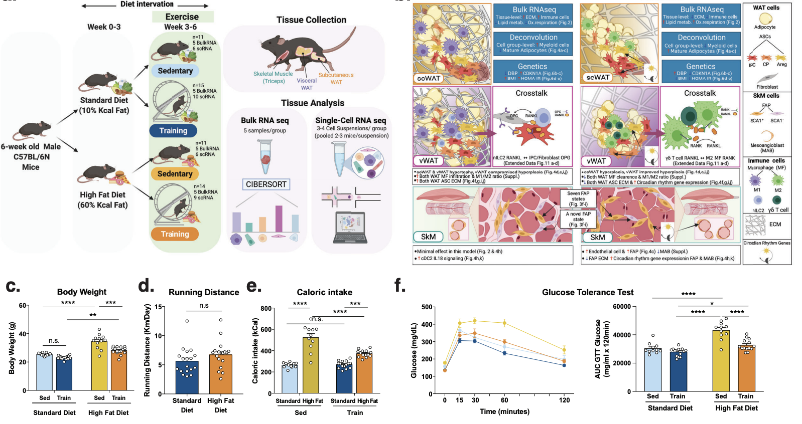 Yang_bioRxiv_21.png