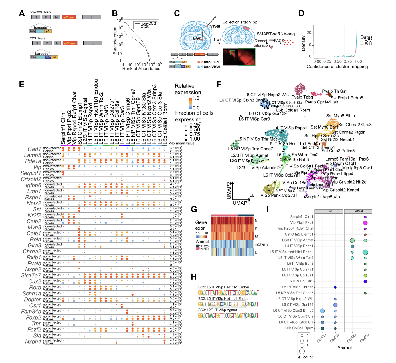 Zhang_bioRxiv_23.png