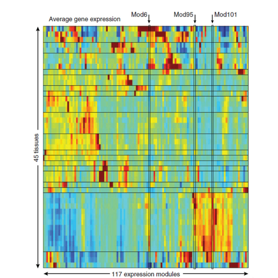 Ardlie_Science_15.png