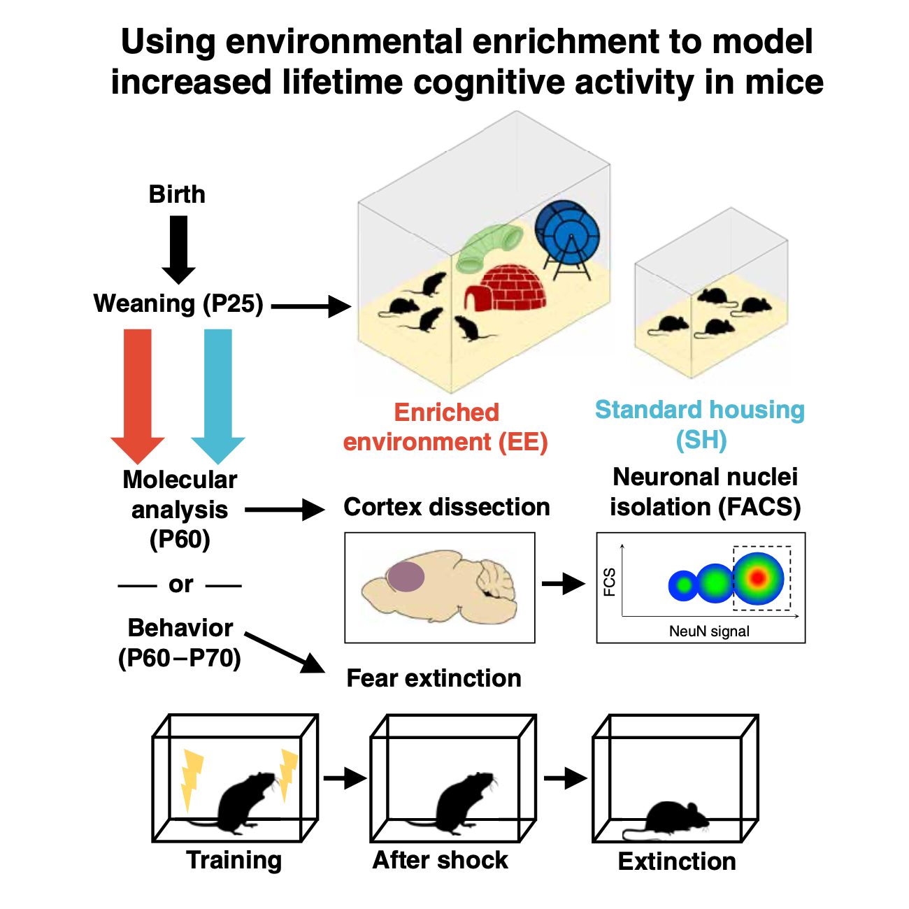 Barker_ScienceTranslationalMedicine_21.png