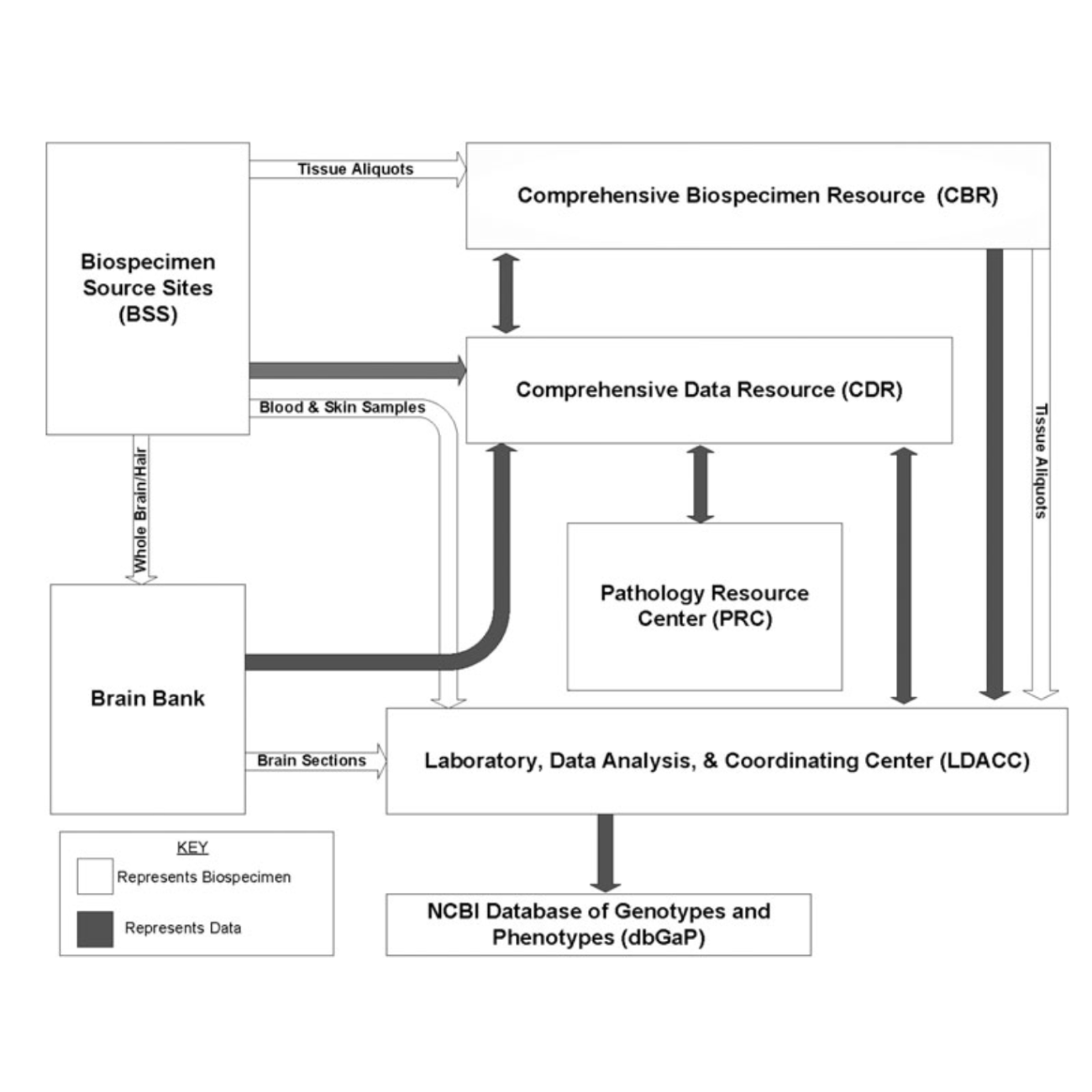 Carithers_BiopreservationAndBiobanking_15.png