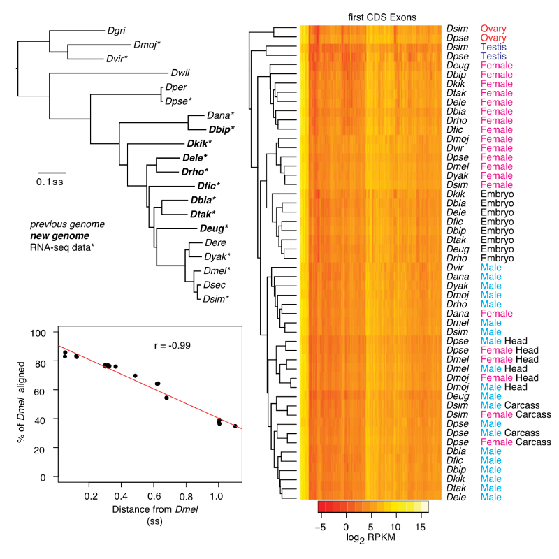 Chen_GenomeResearch_14