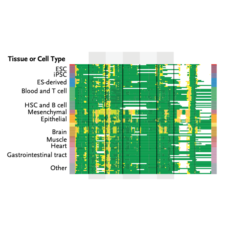 Claussnitzer_TheNewEnglandMedicine_15