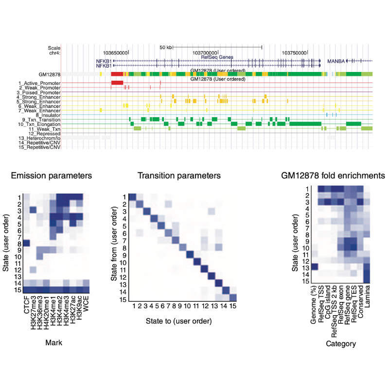 Ernst_NatureMethods_12