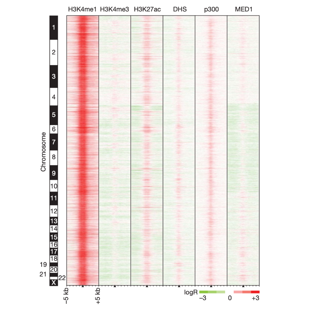 Heintzman_Nature_09.png