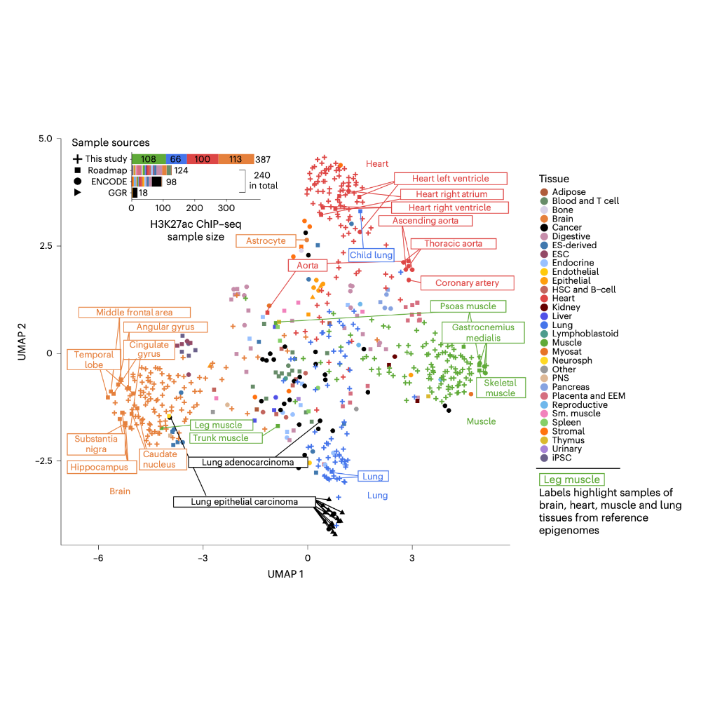 Hou_NatureGenetics_23