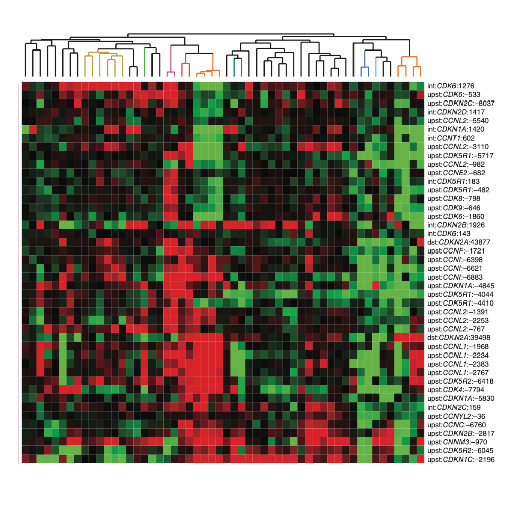 Hung_NatureGenetics_11.png