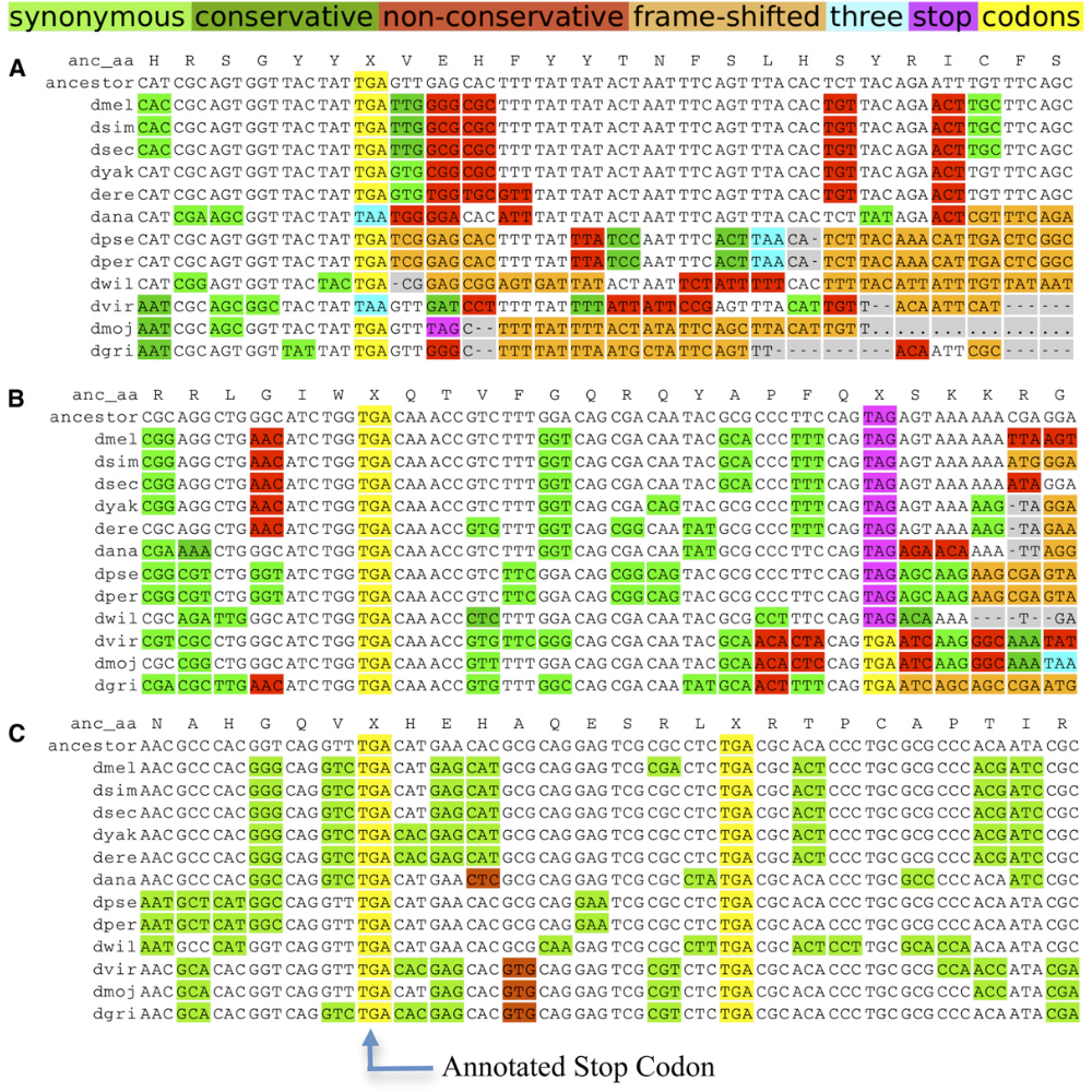 Jungreis_GenomeResearch_11.png