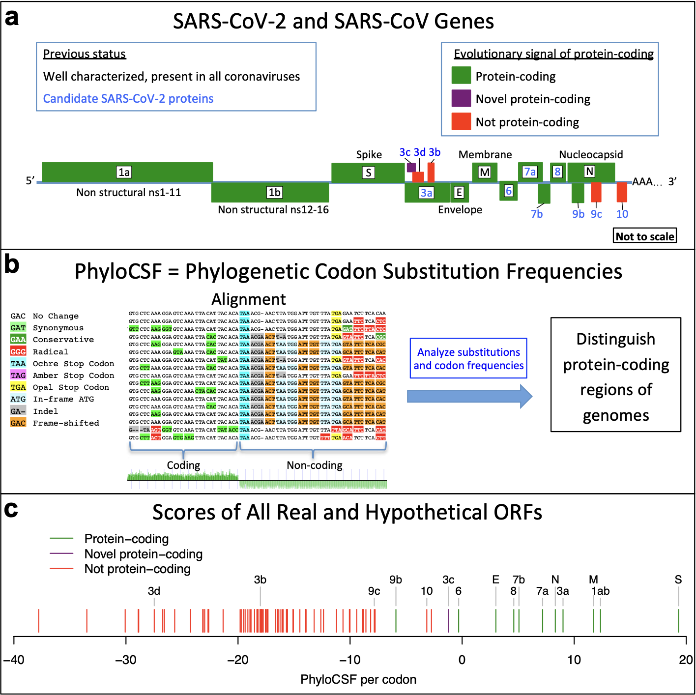 Jungreis_ResearchSquare_20