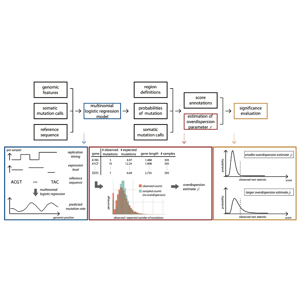 Juul_Bioinformatics_19.png