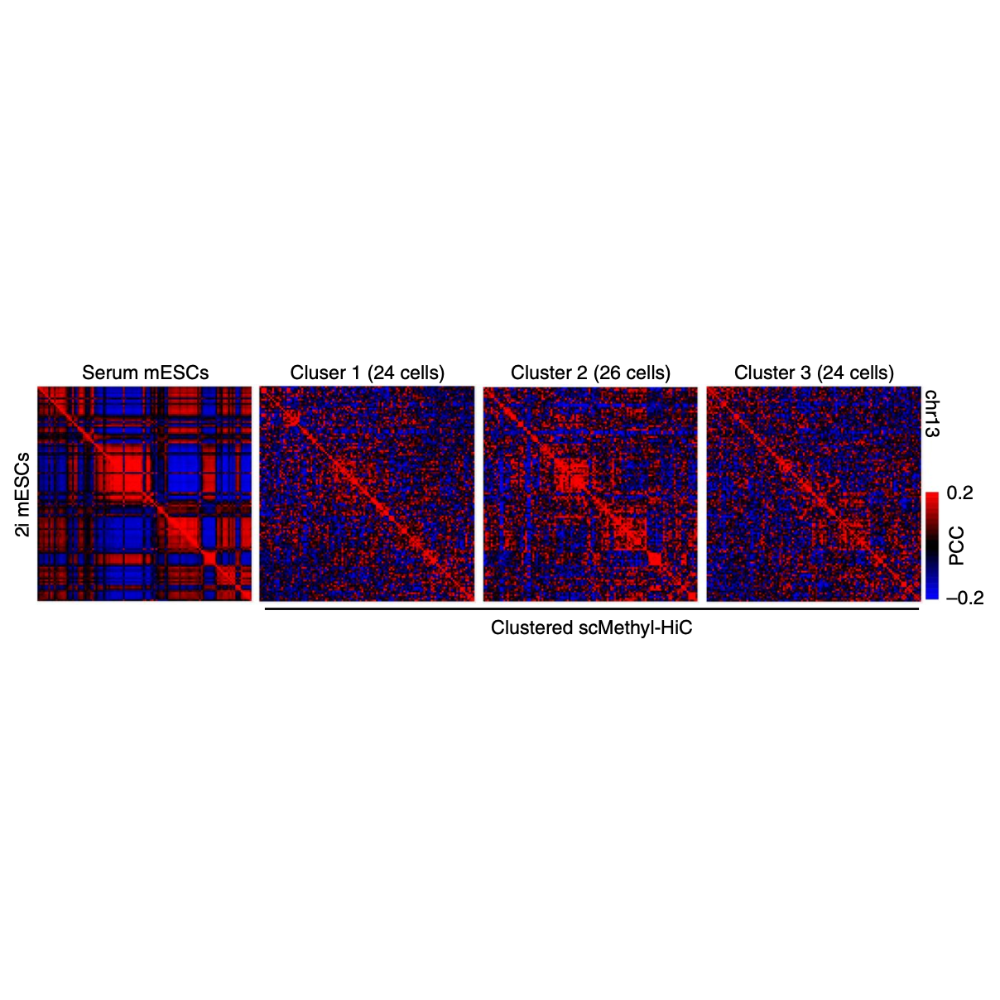 Li_NatureMethods_19