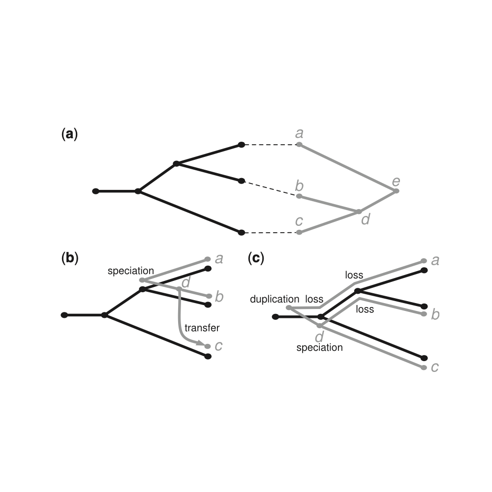 Libeskind-Hadas_Bioinformatics_14