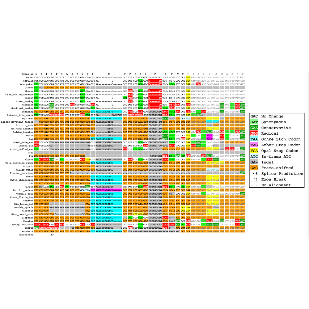 Loughran_TheBiologicalChemistry_18