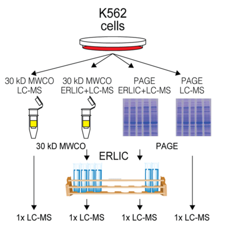 Ma_ProteomeResearch_14.png