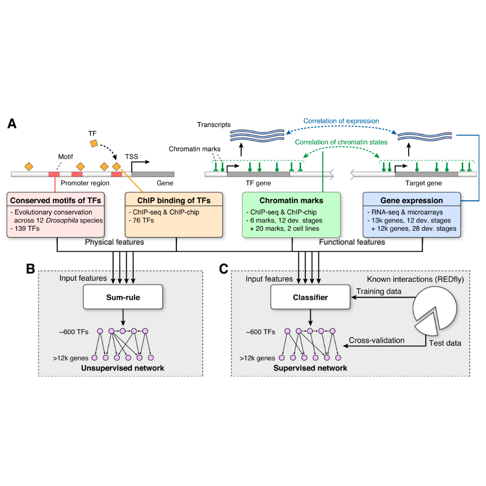 Marbach_GenomeResearch_12