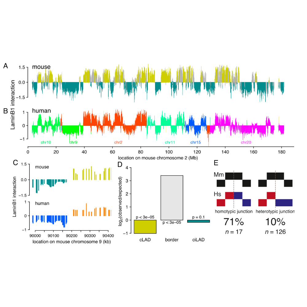 Meuleman_GenomeResearch_13