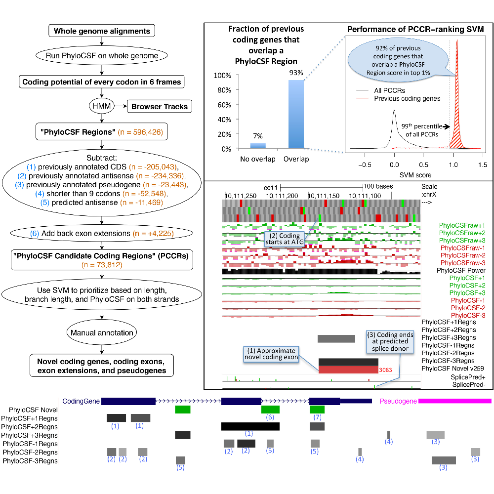 Mudge_GenomeResearch_19