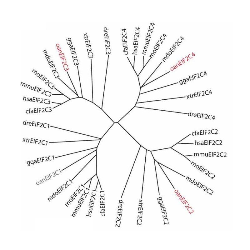 Murchison_GenomeResearch_08