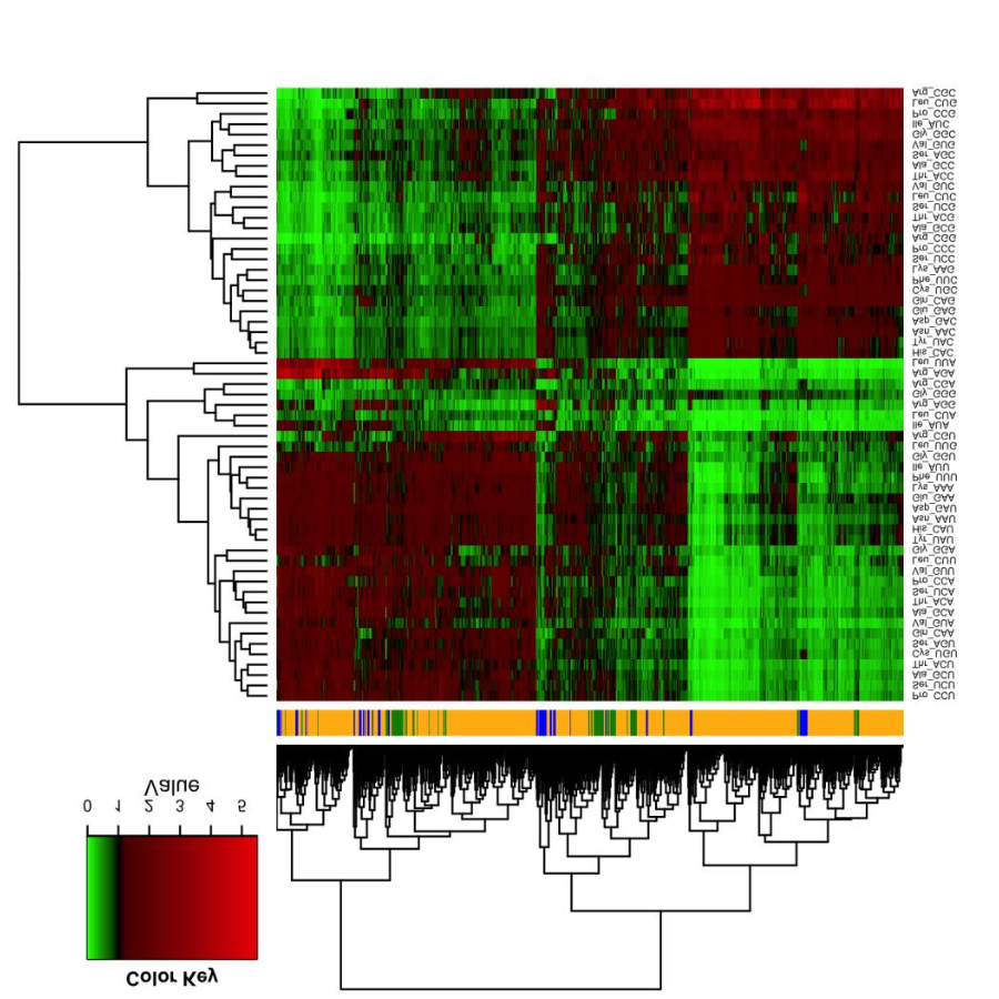 Novoa_MolecularBiologyAndEvolution_19.png