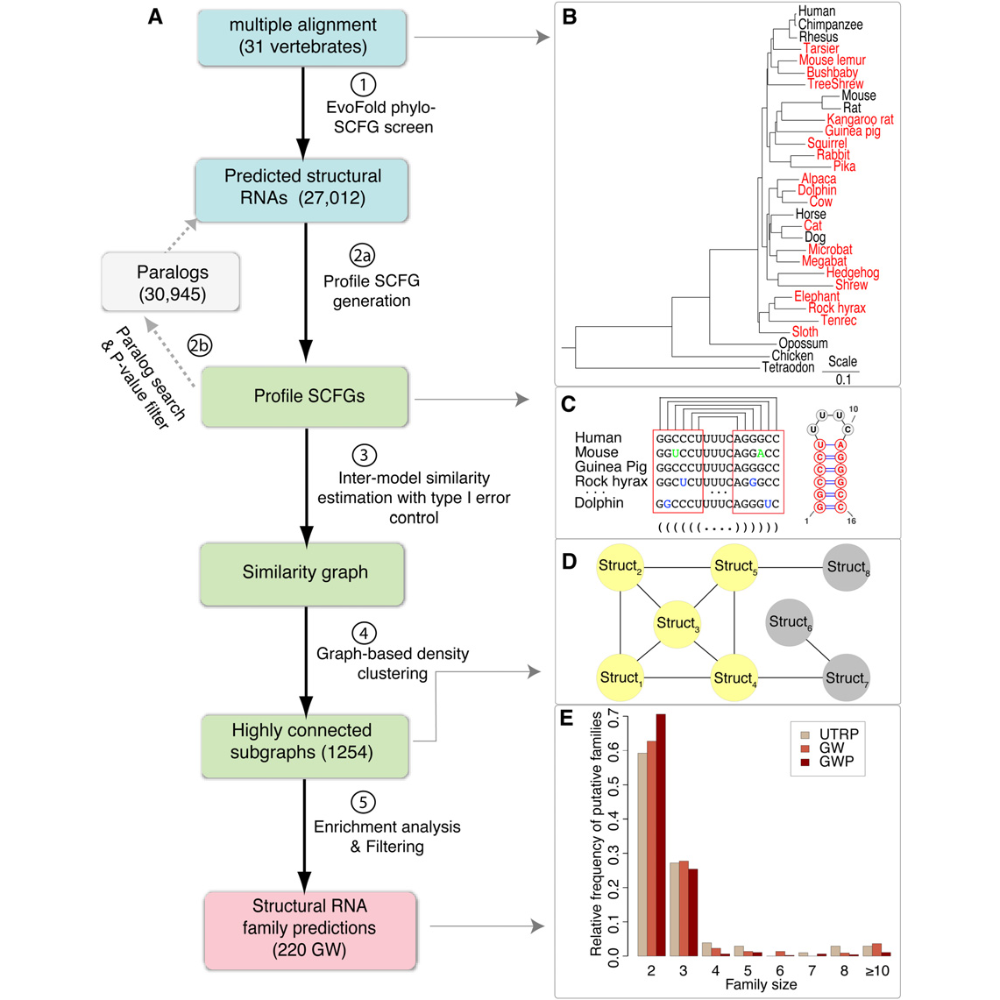 Parker_GenomeResearch_11