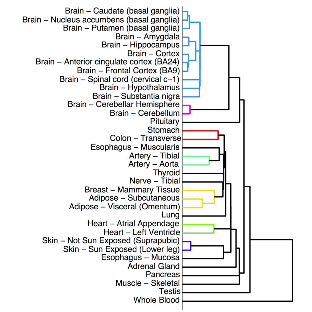 Pierson_PlosComputationalBiology_15