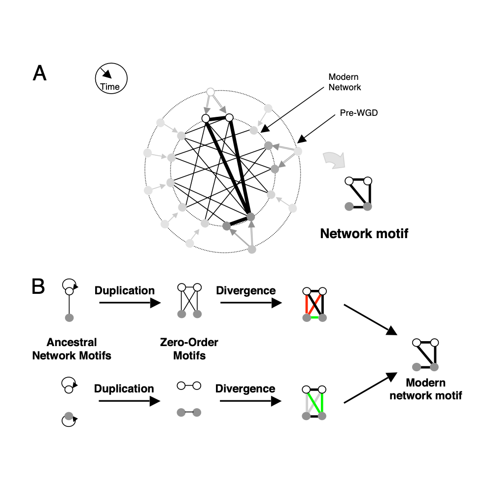 Presser_PNAS_08.png