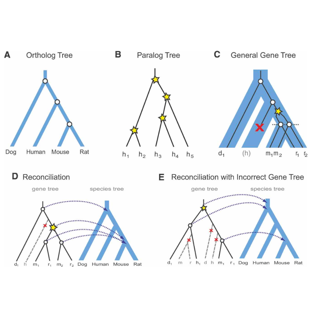 Rasmussen_GenomeResearch_07