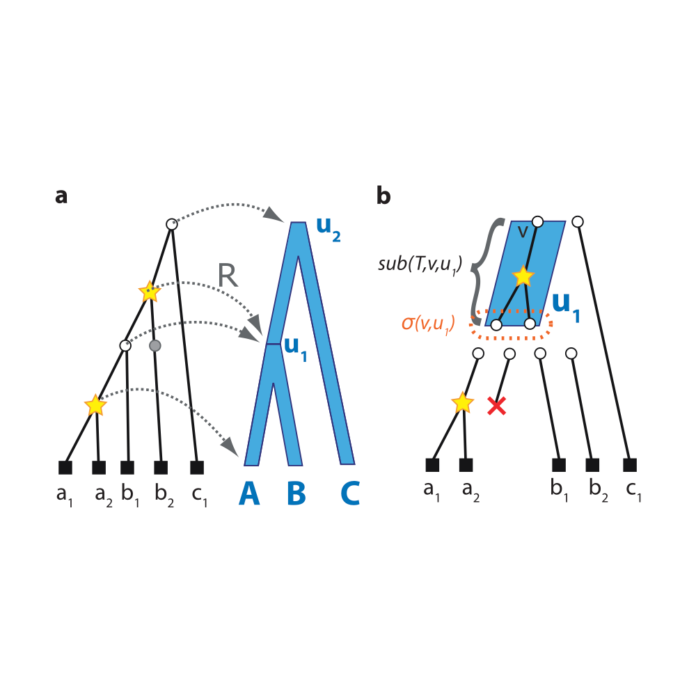 Rasmussen_MolecularBiologyAndEvolution_11