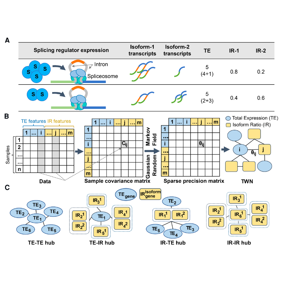 Saha_GenomeResearch_17.png