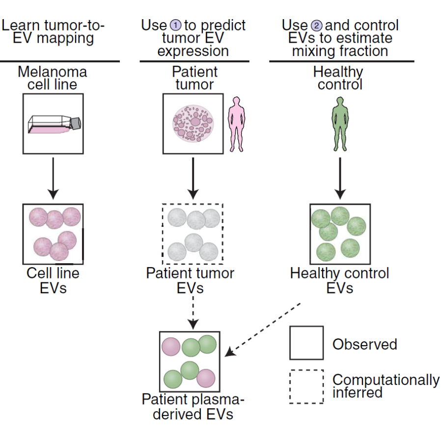 Shi_ScienceAdvances_20.png