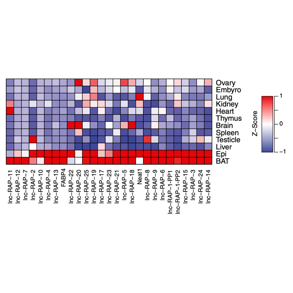 Sun_PNAS_13