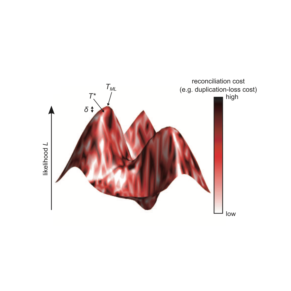 Wu_SystematicBiology_13